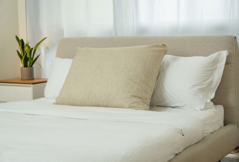 כרית טלוויזיה - פריד T.V