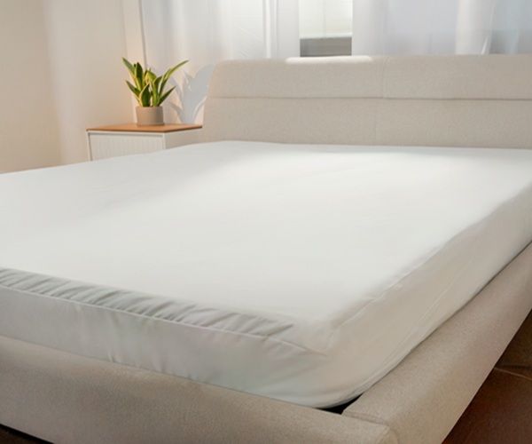 שכבת נוחות לטקס